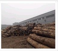 供應(yīng)無錫木材銷售行業(yè)專家【富萬建筑】值得信賴 百姓口碑_交通運(yùn)輸_世界工廠網(wǎng)中國(guó)產(chǎn)品信息庫